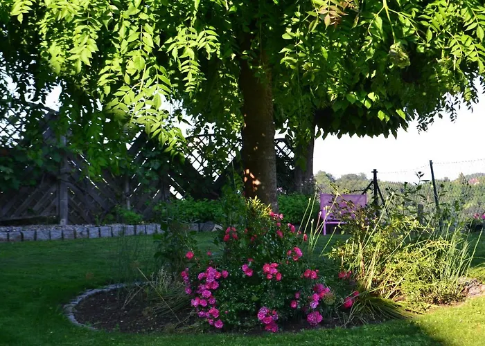 Hotel Villa Rosa